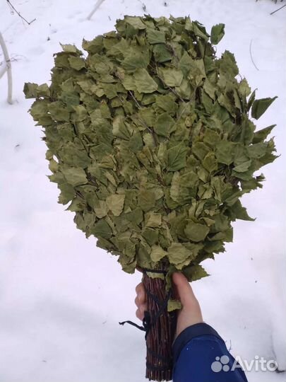 Веники банные