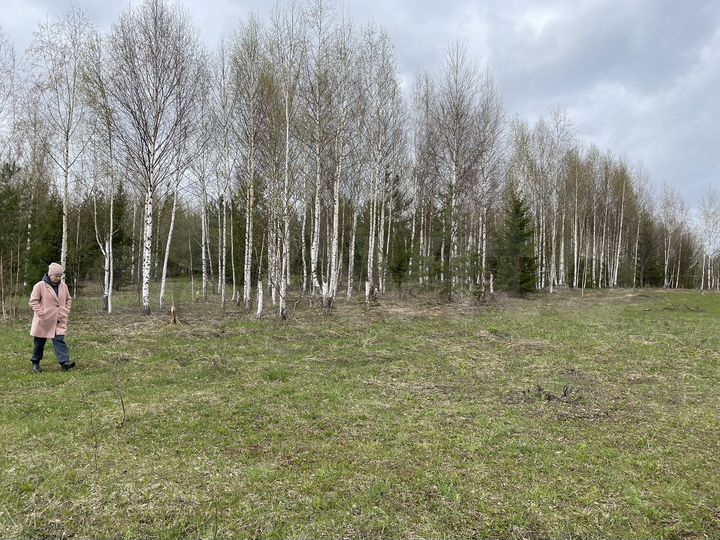 Участок 4,2 га (СНТ, ДНП)