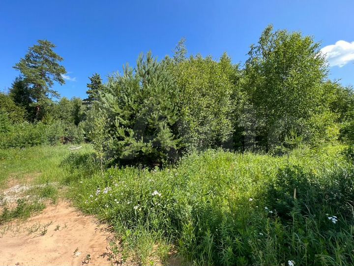 Участок 21,1 сот. (ИЖС)