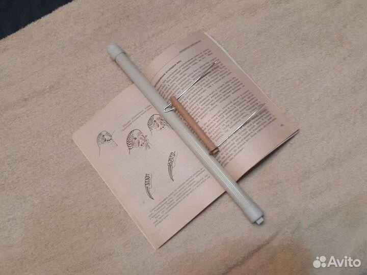 Волнистые попугайчики ++