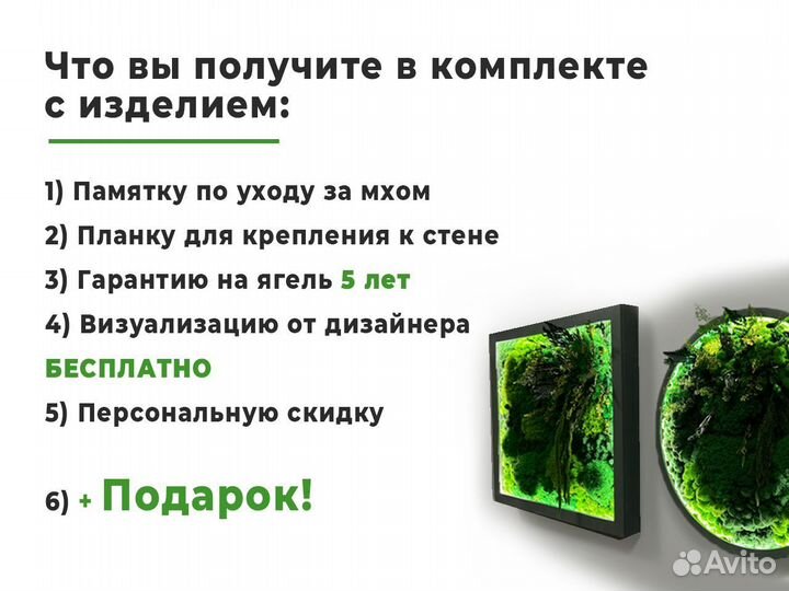 Озеленение для офиса с зелеными растениями