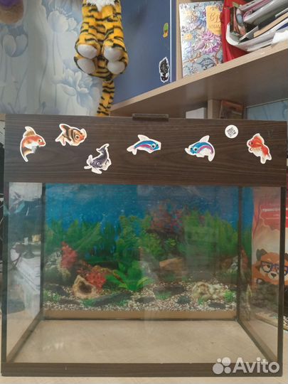 Аквариум