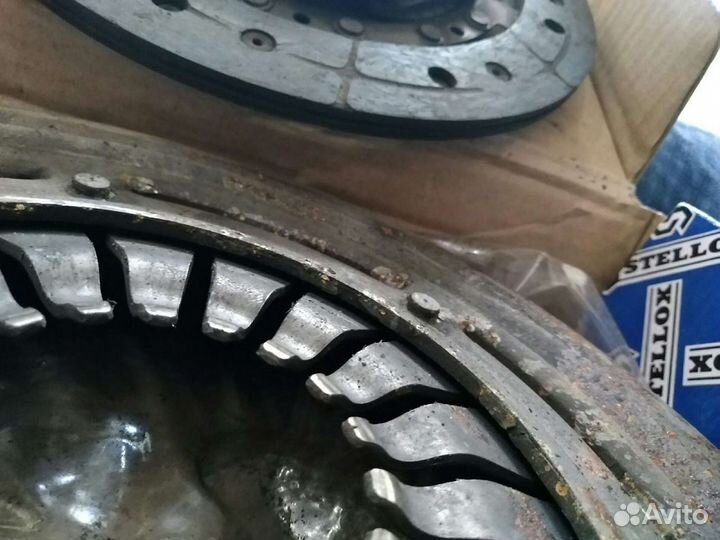 Сцепление Форд Фокус