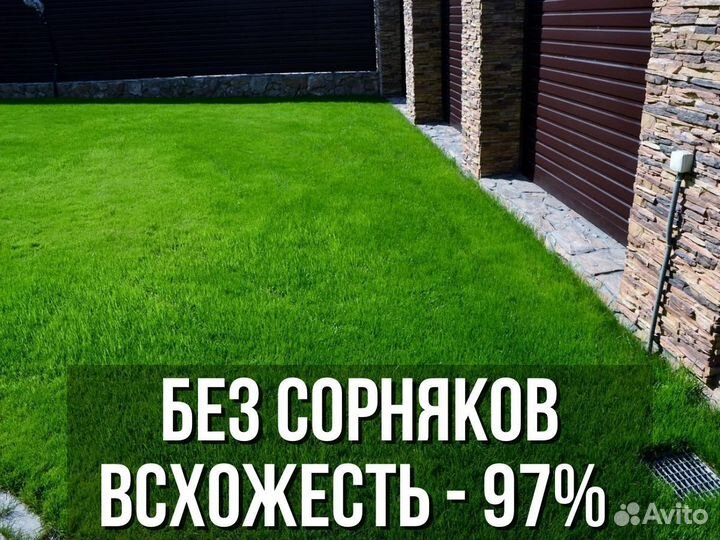 Семена газонной травы газон