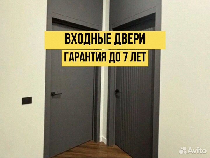 Дверь входная графит