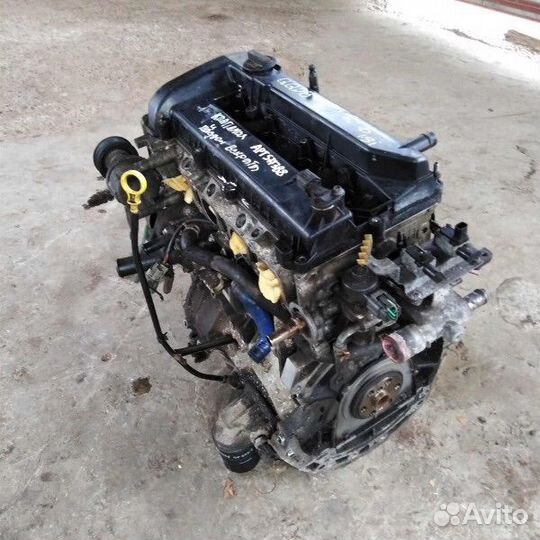 Двигатель 1.8I qqdb ford focus II