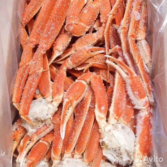 Краб-Стригун(фаланги)