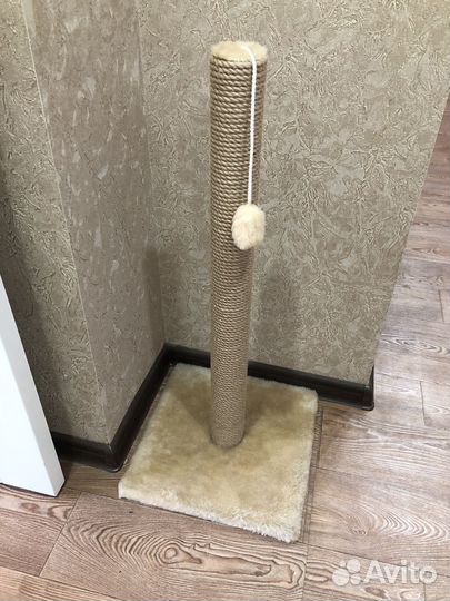 Когтеточка