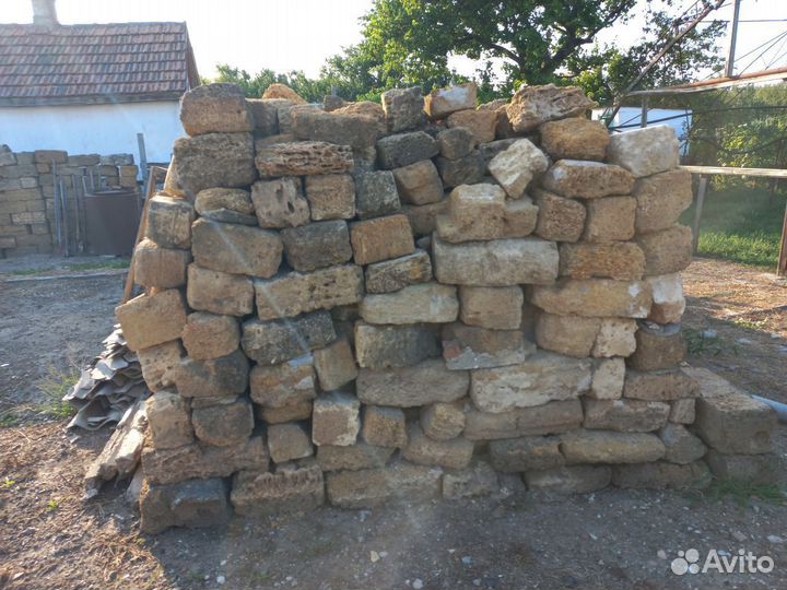 Ракушка разнобой