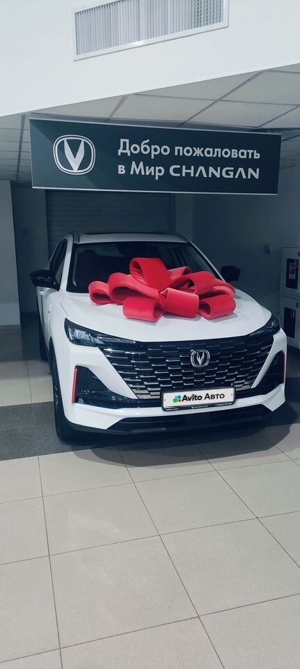 Changan CS55 Plus: фото владельца