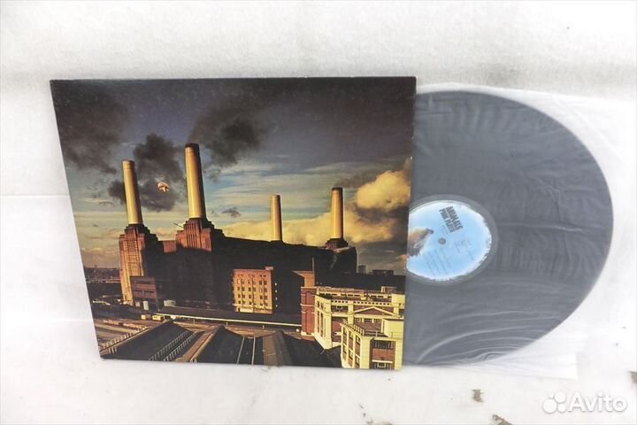LP pink floyd japan