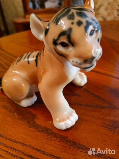 Тигрёнок лфз