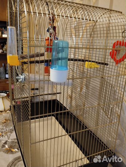 Клетка для попугая корелла Ferplast 73 см*58*32