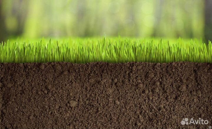 Грунт для газона