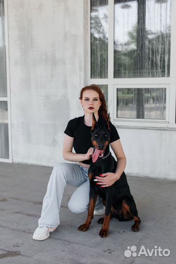 Фотосессия с доберманом