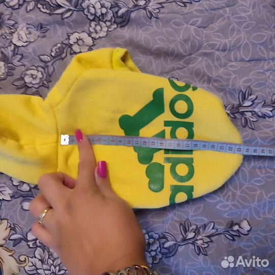 Одежда для маленькой собачки