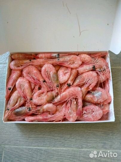 Креветка Северная (Преображенская)