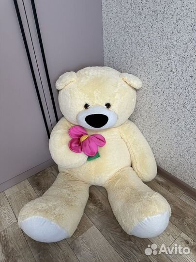 Большие плюшевые медведи