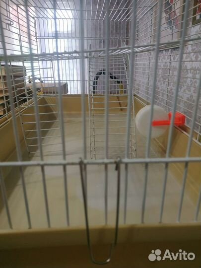 Клетка для грызунов 57/31/31