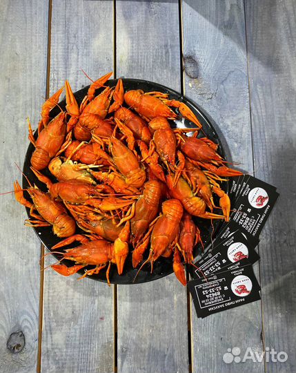 Раки и Креветки живые/вареные Актуальный Прайс