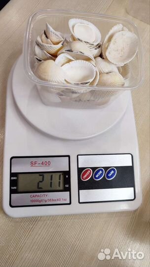 Отборные ракушки из Крыма