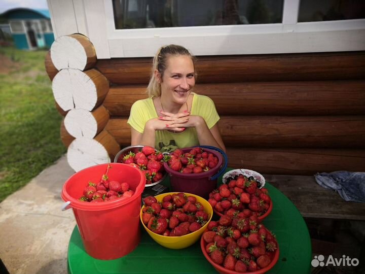 Клубника сортовая, усы