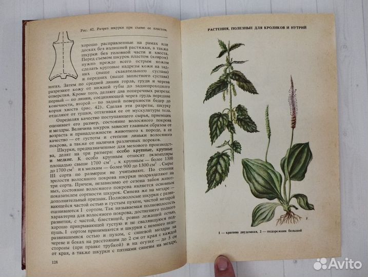 Приусадебное кролиководство и нутриеводство 1990