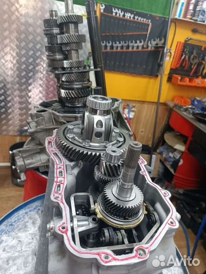 Шепчутся с вожделением, слагают легенды