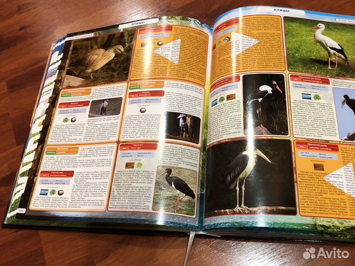 Детская энциклопедия