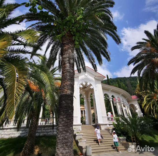 Джип тур, экскурсия в Абхазию, всё включено