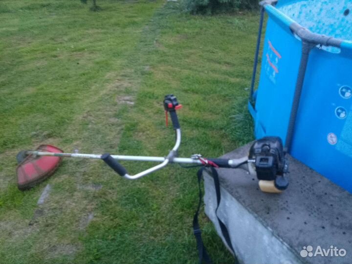 Безакоса Кайман