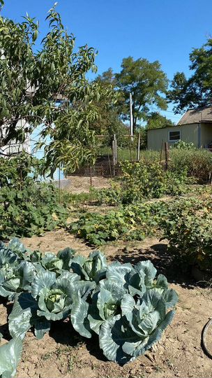 Дом 90 м² на участке 18 сот.