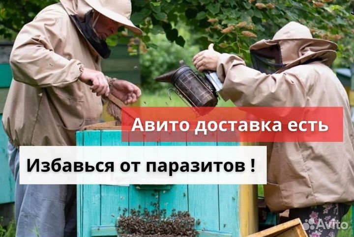 Мёд от инвазий