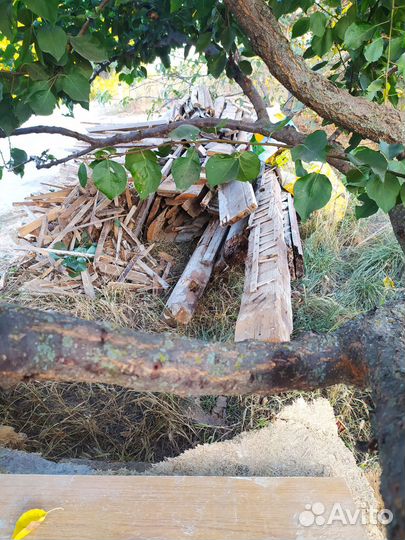Отдам дрова самовывоз