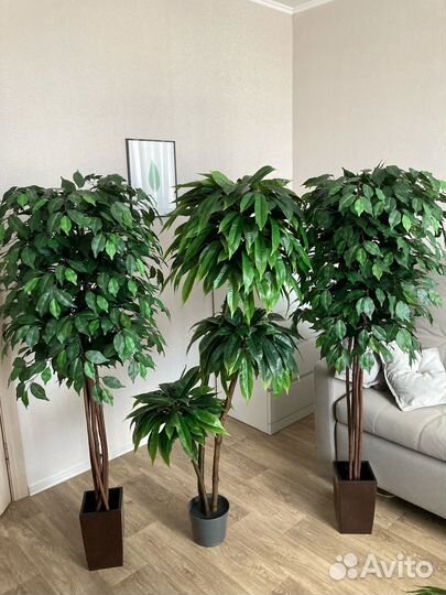 Искусственные цветы и деревья фикус манго