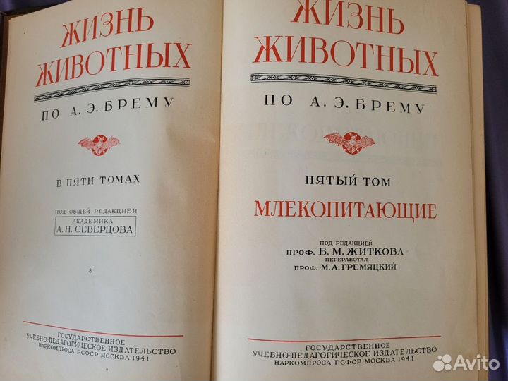 Жизнь животных