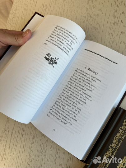 Пушкин Бунин