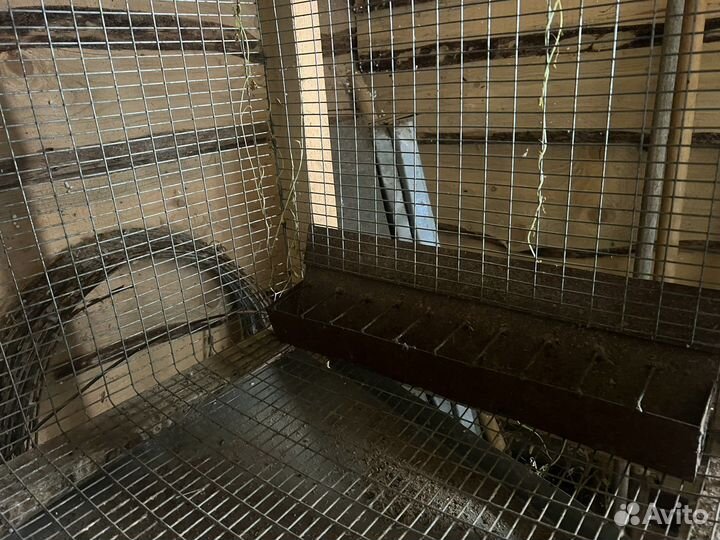 Клетки для кроликов и цеплят