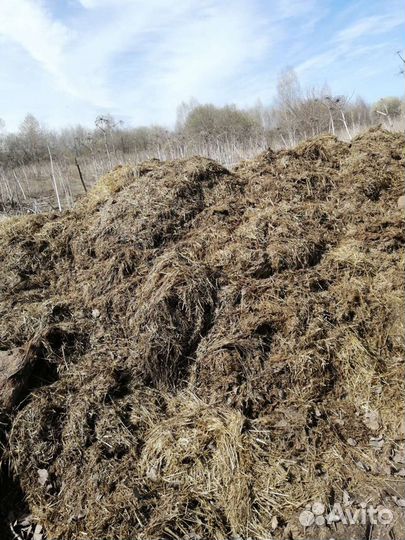 Перегной навоз