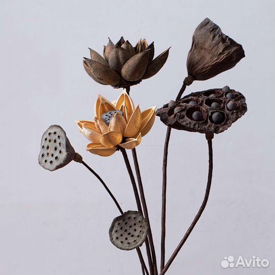 Цветы сухие натуральные для икебаны и декора