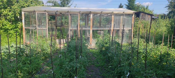 Дача 50 м² на участке 4 сот.