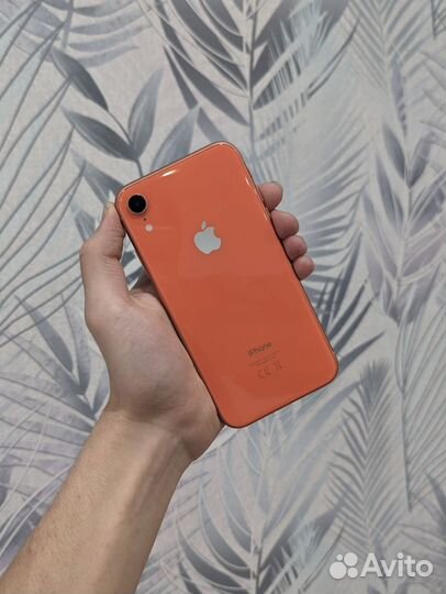 iPhone Xr, 64 ГБ