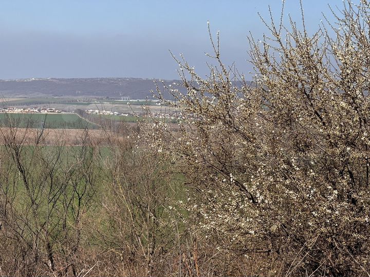 Участок 8 сот. (ИЖС)