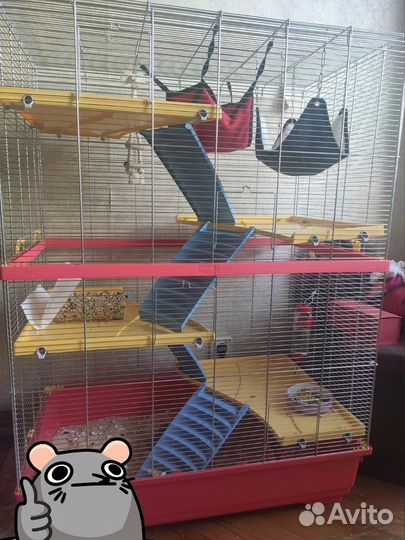 Клетка для грызунов iMac Rat 80 Double