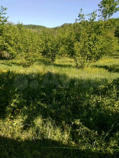 Участок 21 сот. (ИЖС)