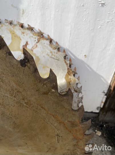 Диск на циркулярку