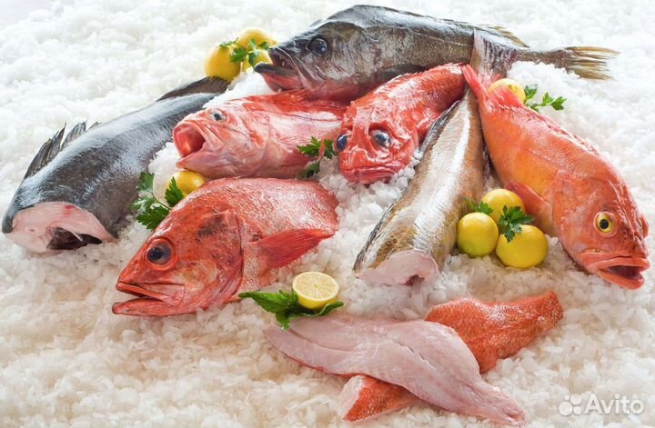 Продам прибыльный магазин рыбы и морепродуктов