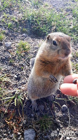 Камчатка: образовательный тур