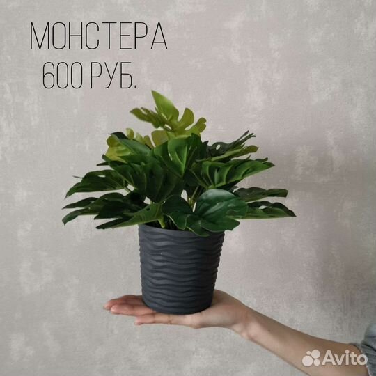 Цветы в горшке