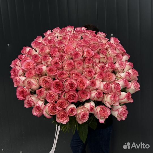 101 Роза Джумилия